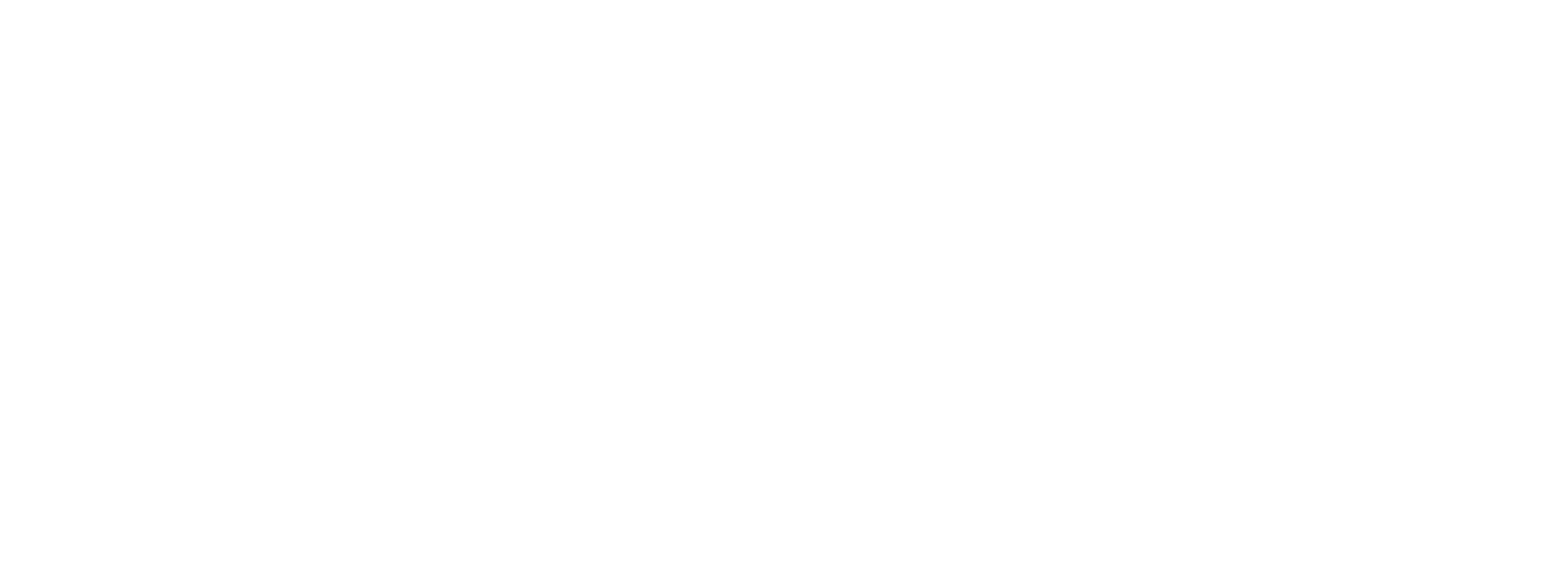 Mavim Logo